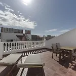 Pardela Playa de San Juan (Tenerife)